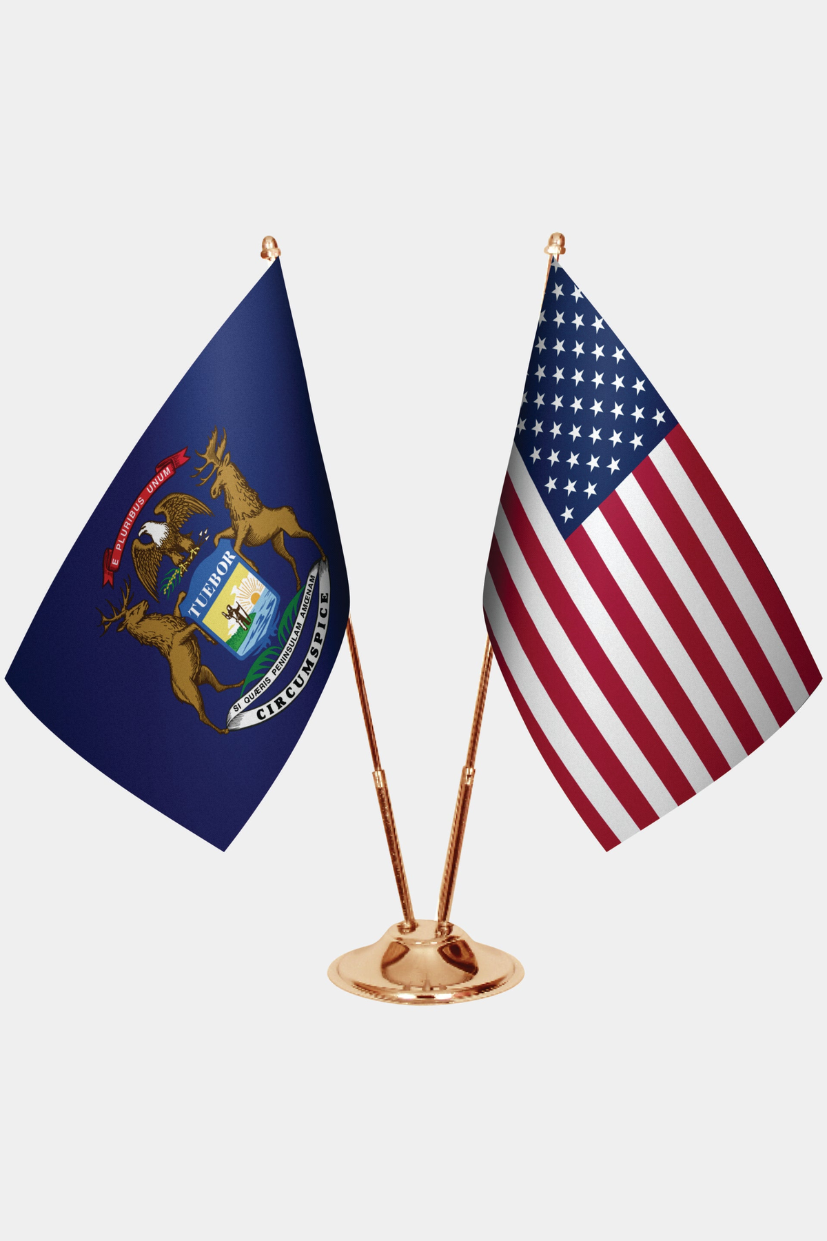 Michigan ve ABD Masa Bayrağı Seti