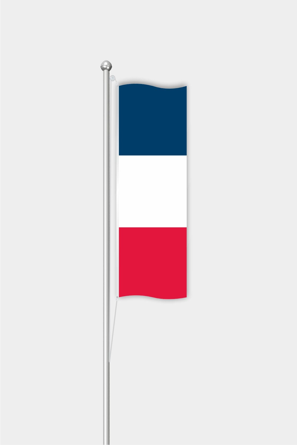 Outdoor Vertical France Flag — Polyester