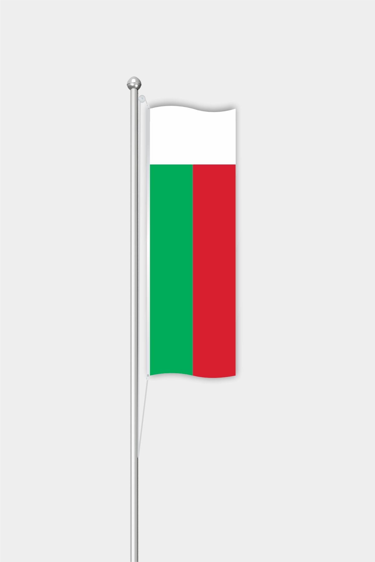 Outdoor Vertical Madagascar Flag — Polyester