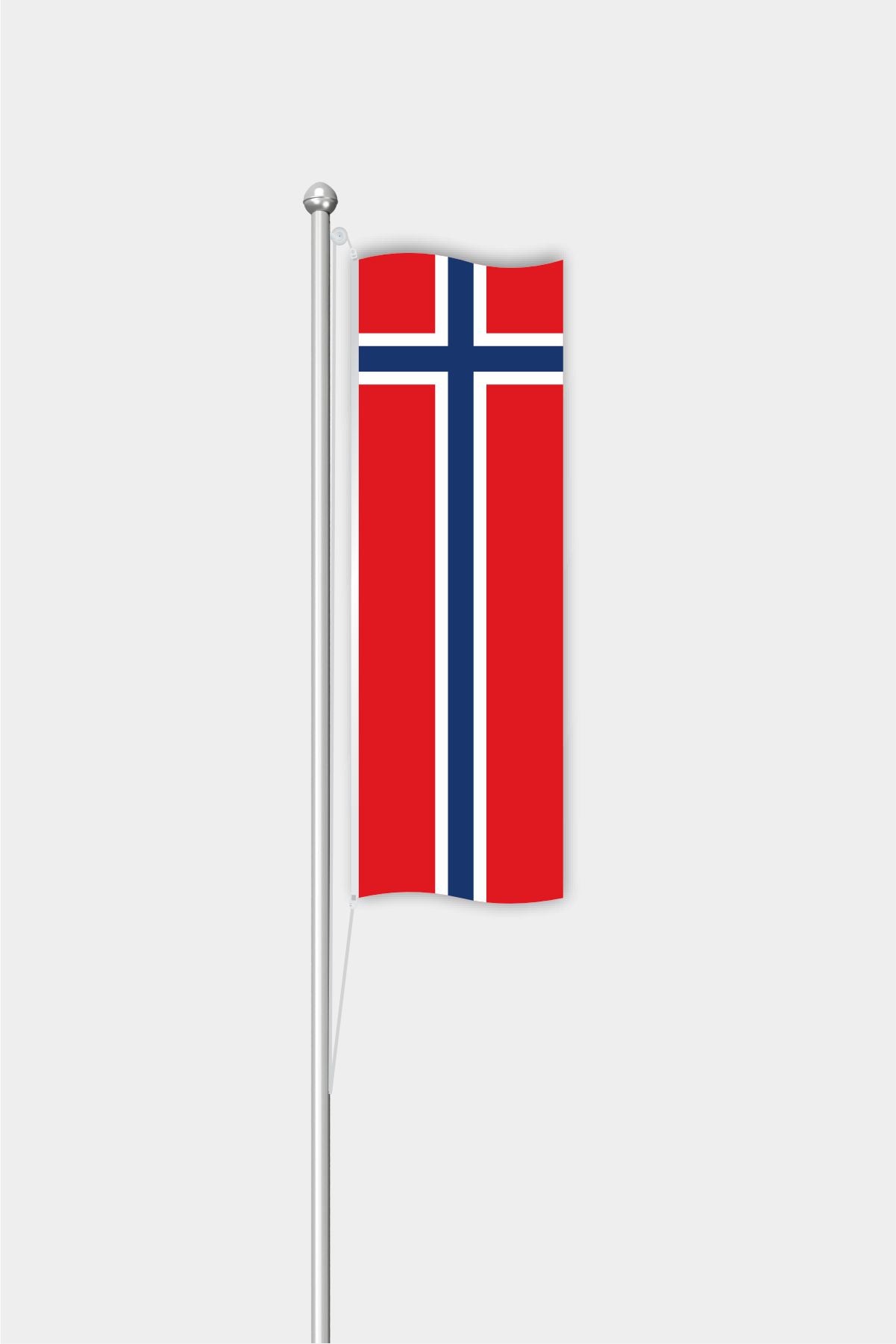 Outdoor Vertical Norway Flag — Polyester