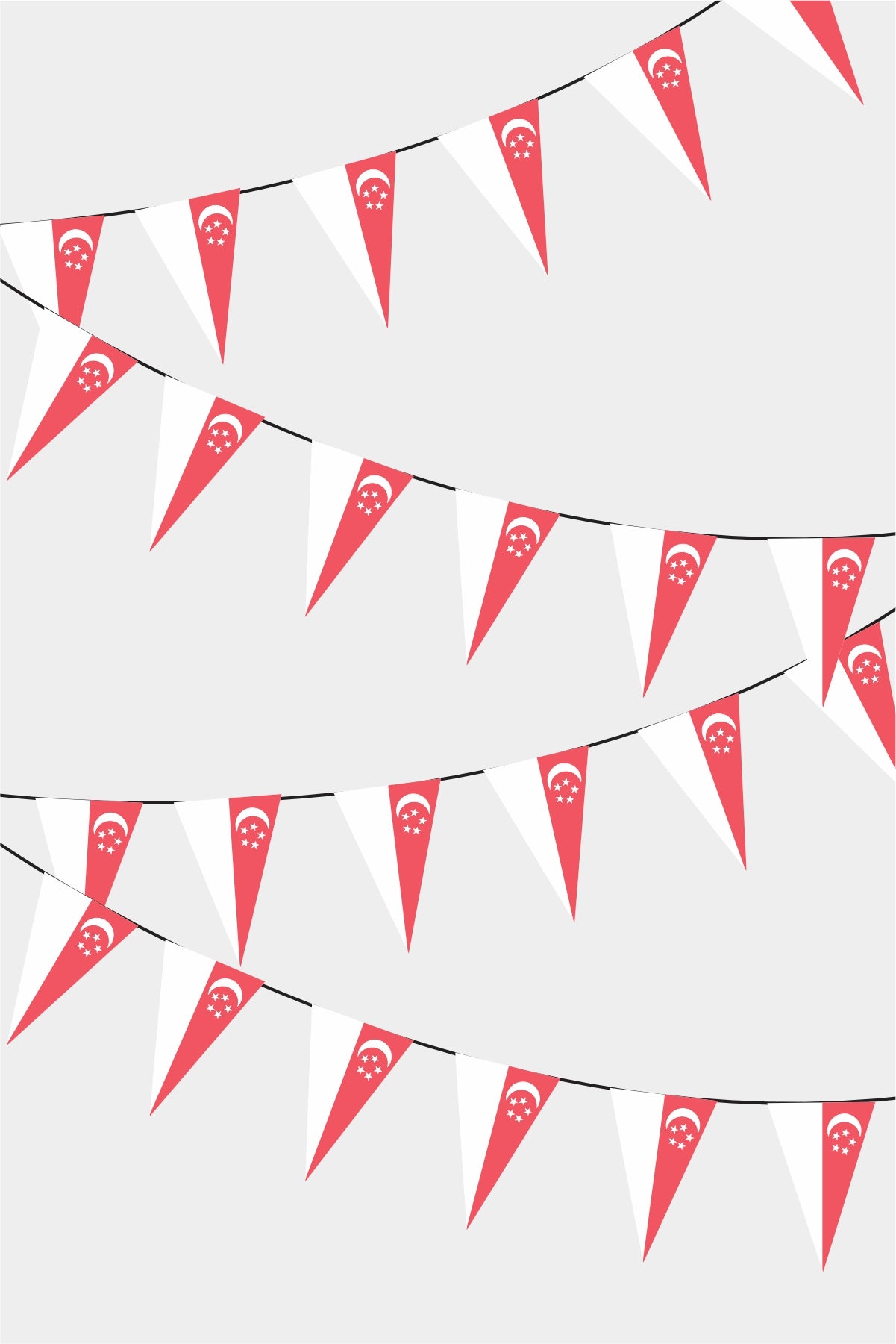 Singapore Triangular Flag Bunting - 50 Meters Premium Pennant Flags for Party Decoration | Professional Quality Raschel Fabric