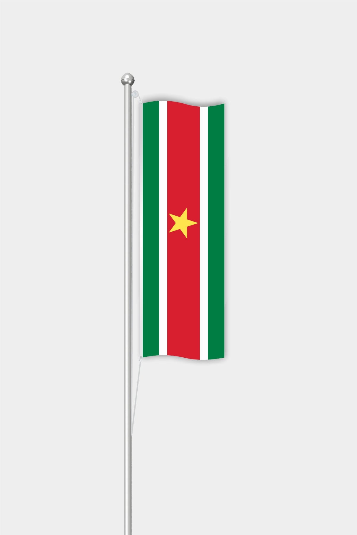 Outdoor Vertical Suriname Flag — Polyester