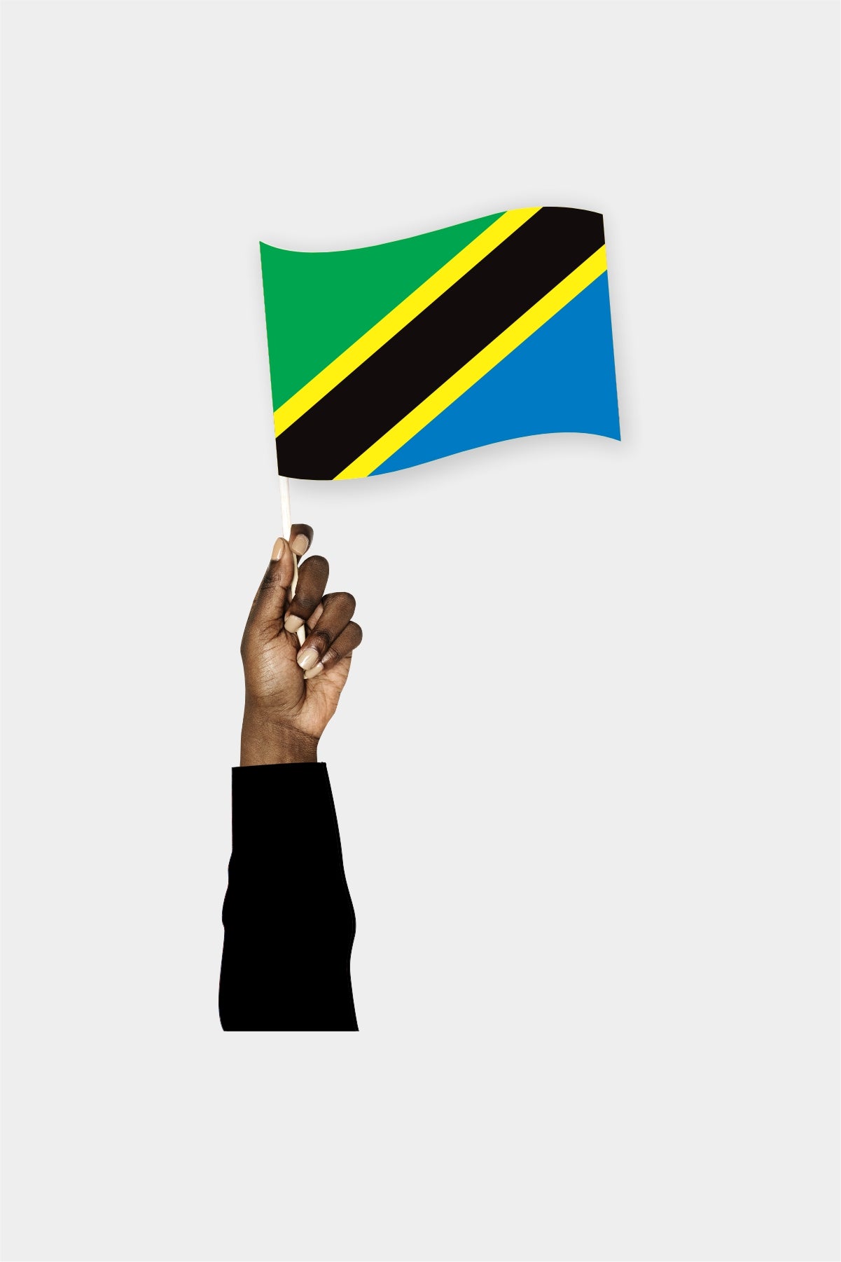 Tanzania handheld flag on stick - durable polyester country flag for events and parades