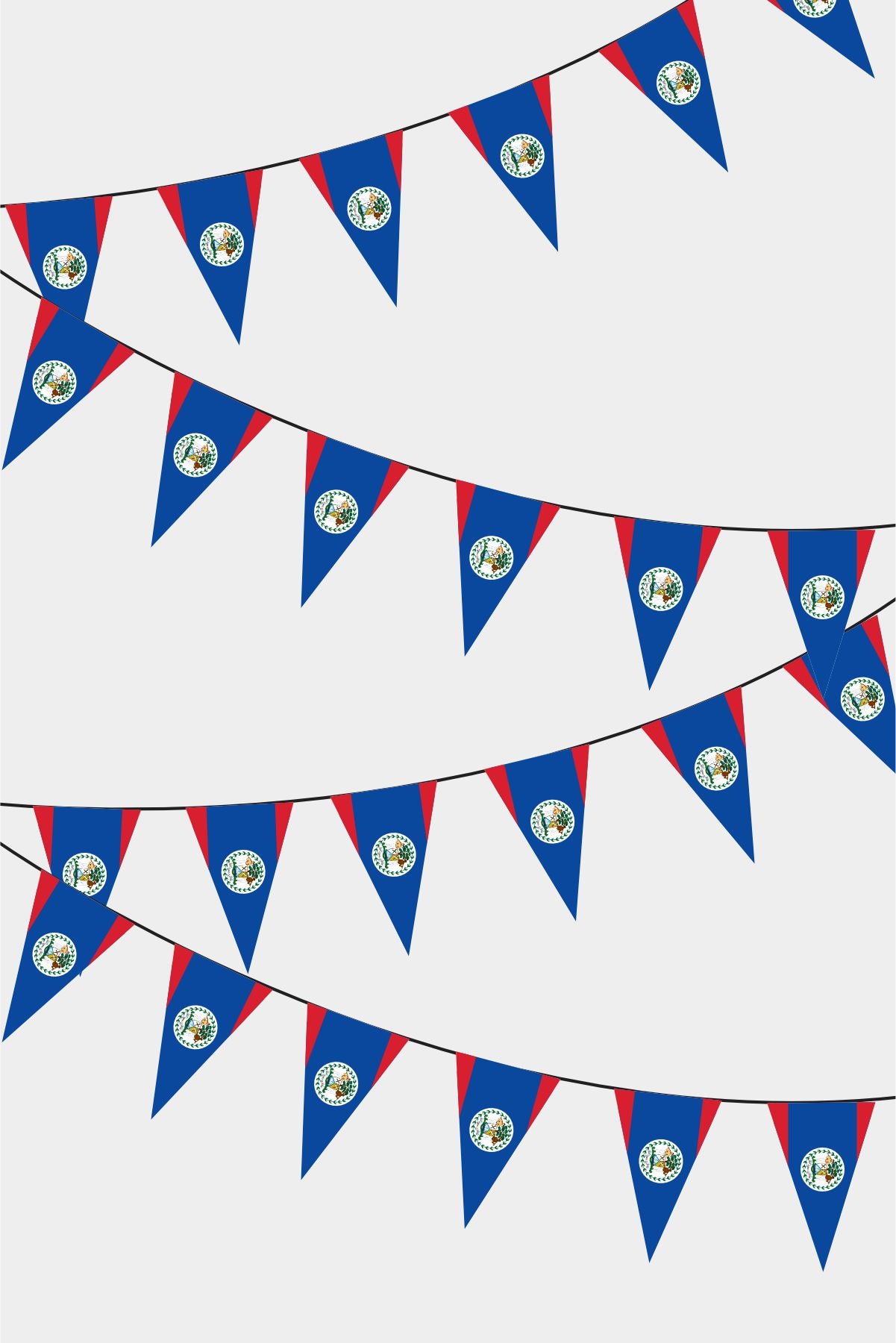 Belize Triangular Flag Bunting - 50 Meters Premium Pennant Flags for Party Decoration | Professional Quality Raschel Fabric