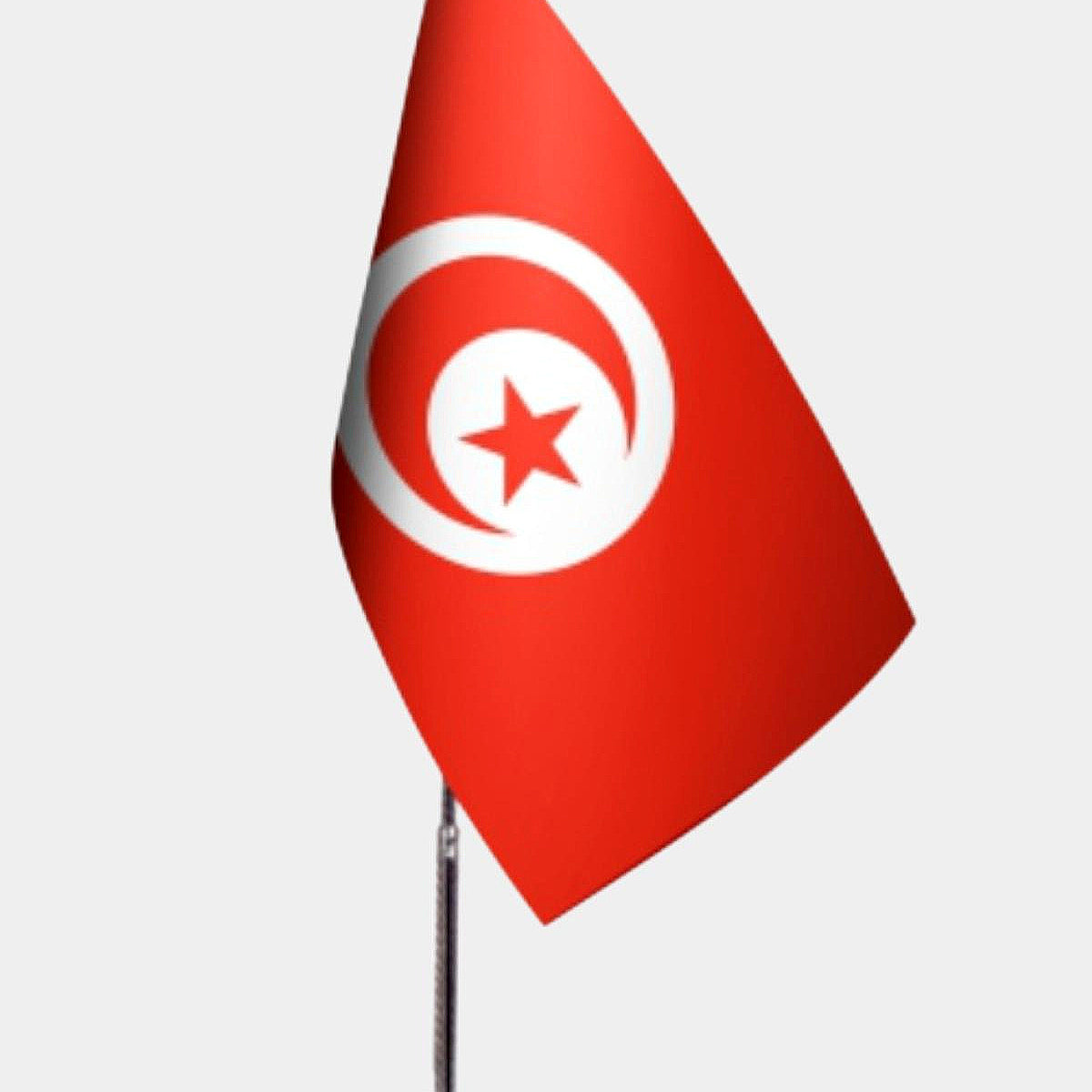 Tunisia Desk Flag - Premium Double-Layer Satin with Chrome L-Shaped Stand | Professional Quality Country Desk Flag for Government Offices and Institutions