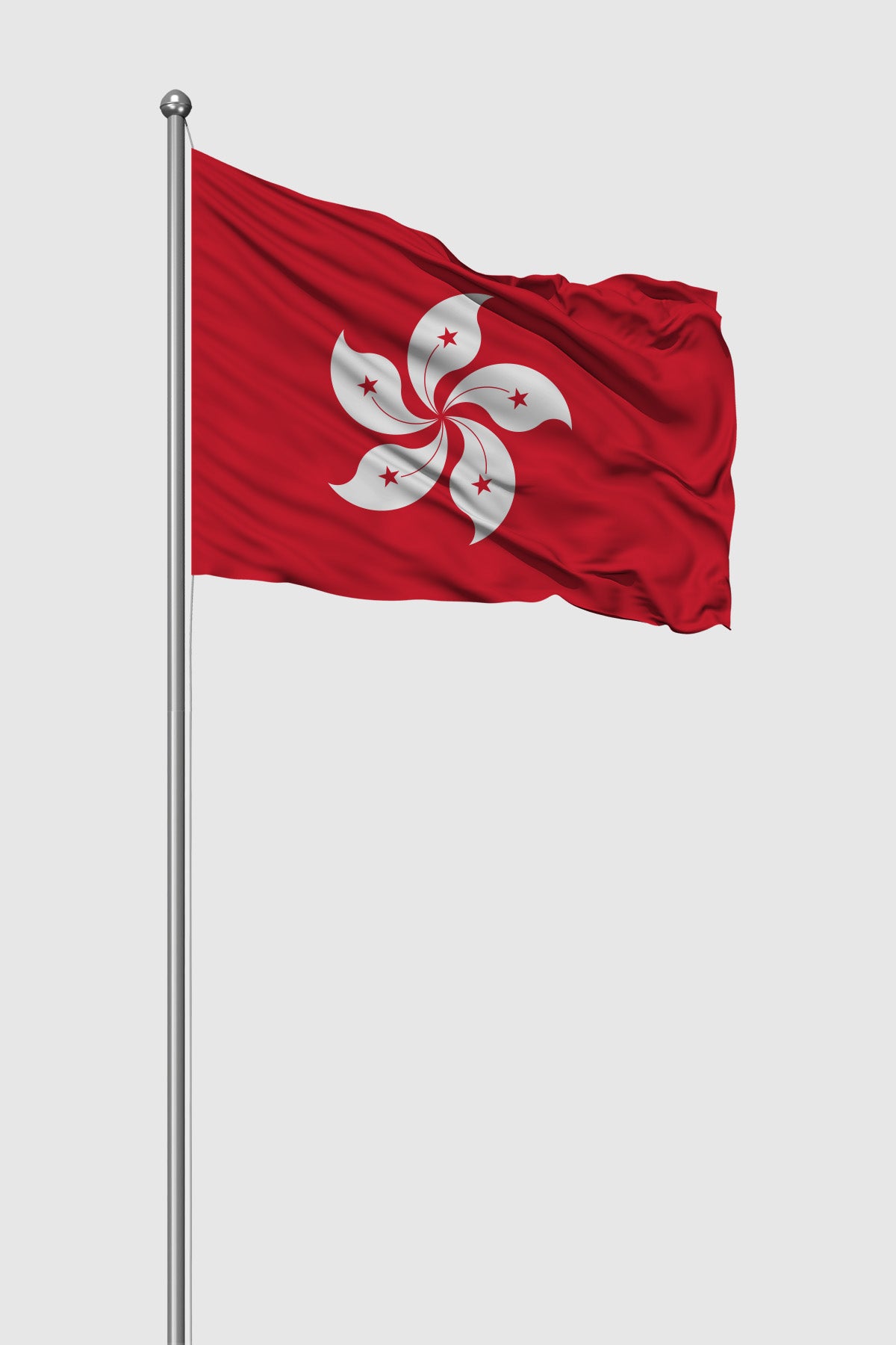 Hong Kong Outdoor Flag — Raschel Knit