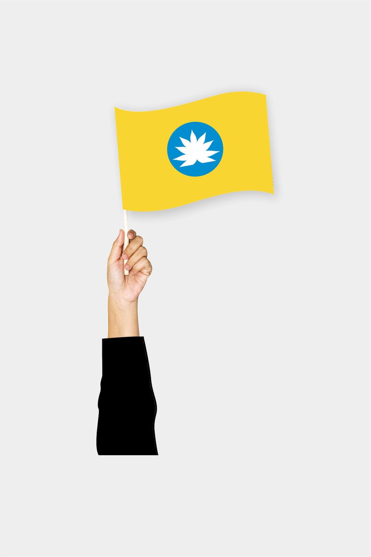 Kalmykia handheld flag on stick - durable polyester country flag for events and parades