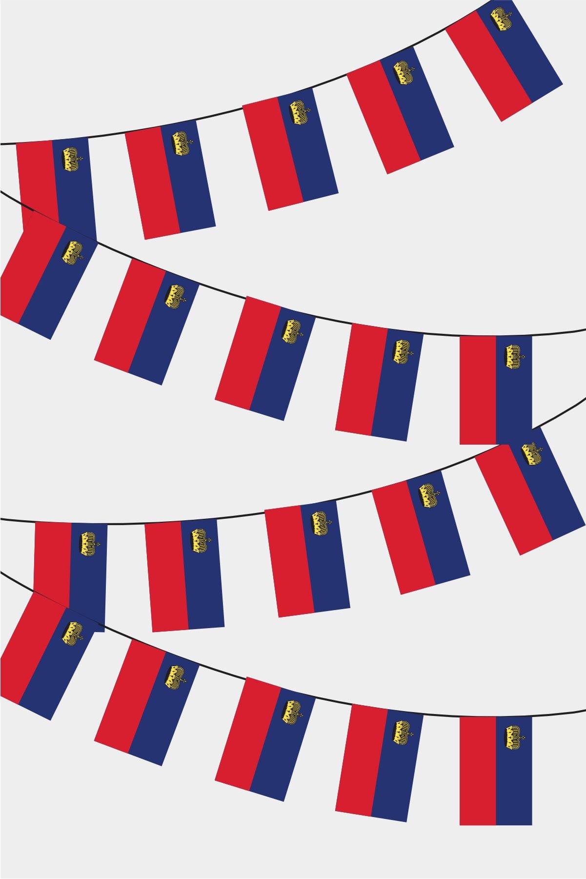 Liechtenstein Rectangular Flag Bunting - 50 Meters Premium String Flags for Party Decoration | Professional Quality Raschel Fabric