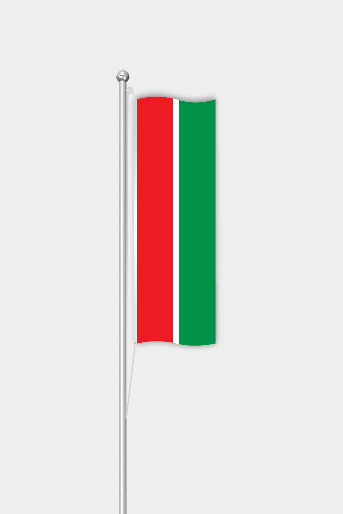 Outdoor Vertical Tatarstan Flag — Polyester