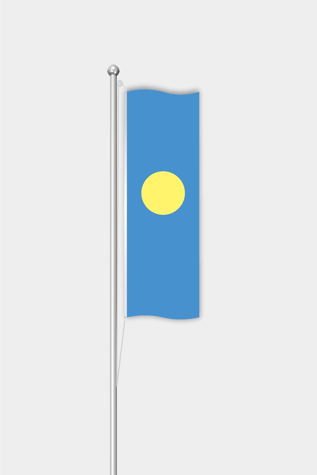 Outdoor Vertical Palau Flag — Polyester