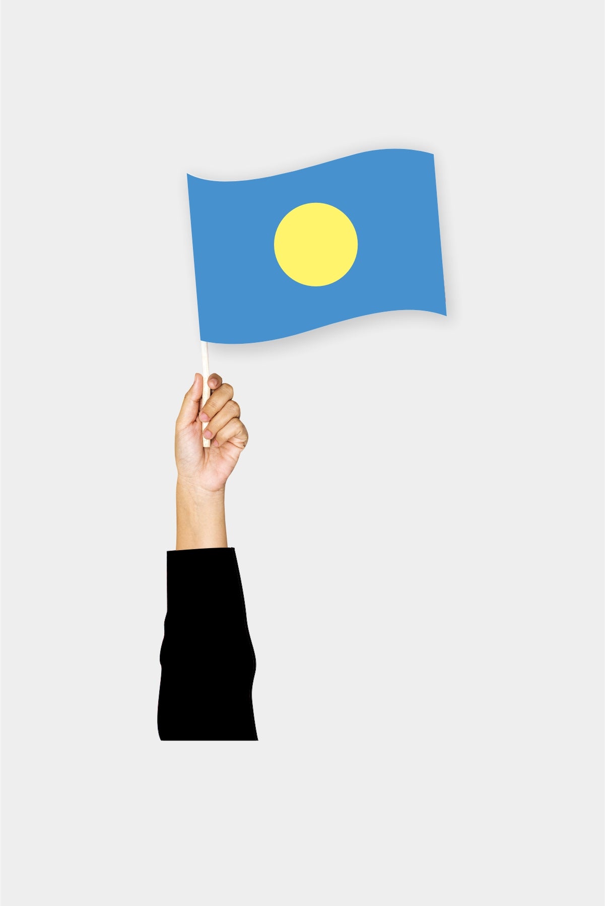 Palau handheld flag on stick - durable polyester country flag for events and parades
