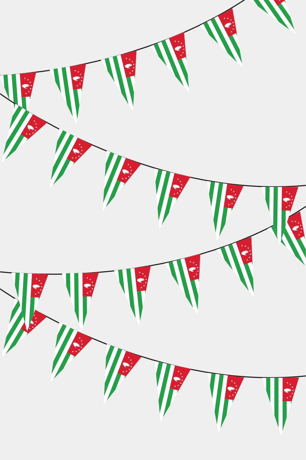 Abkhazia Triangular Flag Bunting - 50 Meters Premium Pennant Flags for Party Decoration | Professional Quality Raschel Fabric