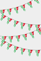 Abkhazia Triangular Flag Bunting - 50 Meters Premium Pennant Flags for Party Decoration | Professional Quality Raschel Fabric