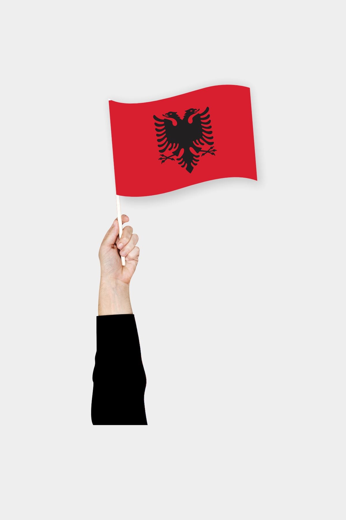Albania handheld flag on stick - durable polyester country flag for events and parades
