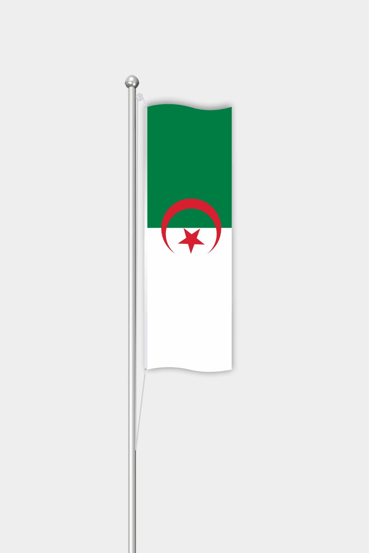 Outdoor Vertical Algeria Flag — Polyester