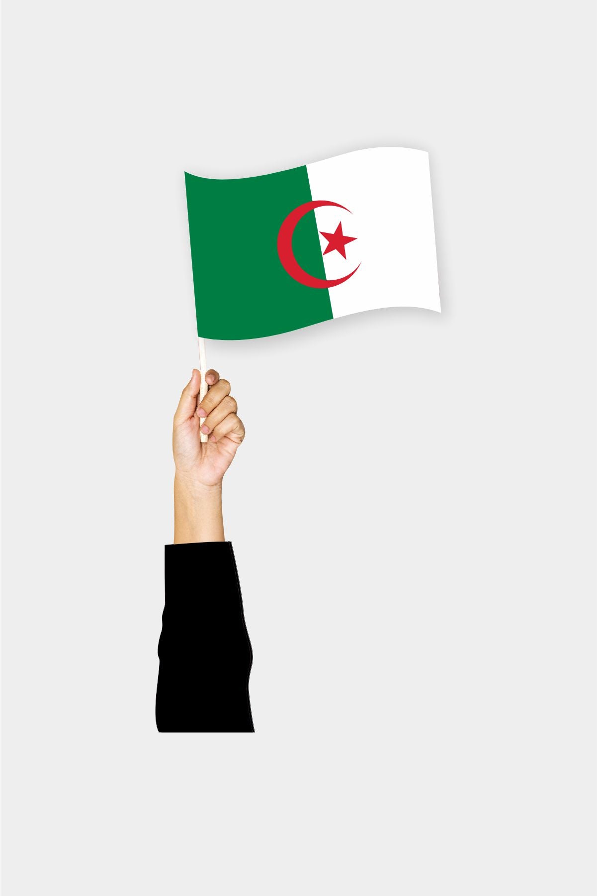 Algeria handheld flag on stick - durable polyester country flag for events and parades