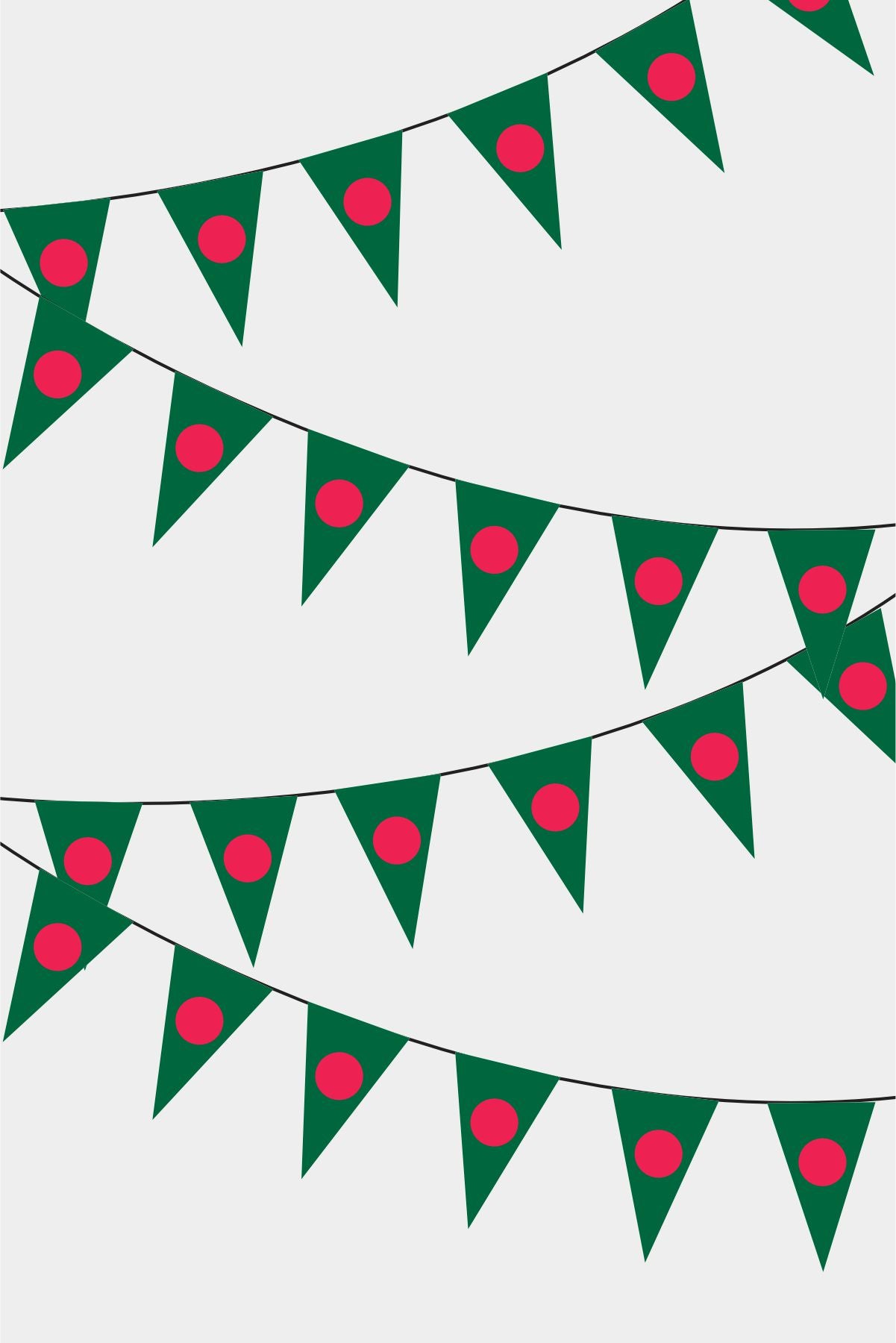 Bangladesh Triangular Flag Bunting - 50 Meters Premium Pennant Flags for Party Decoration | Professional Quality Raschel Fabric