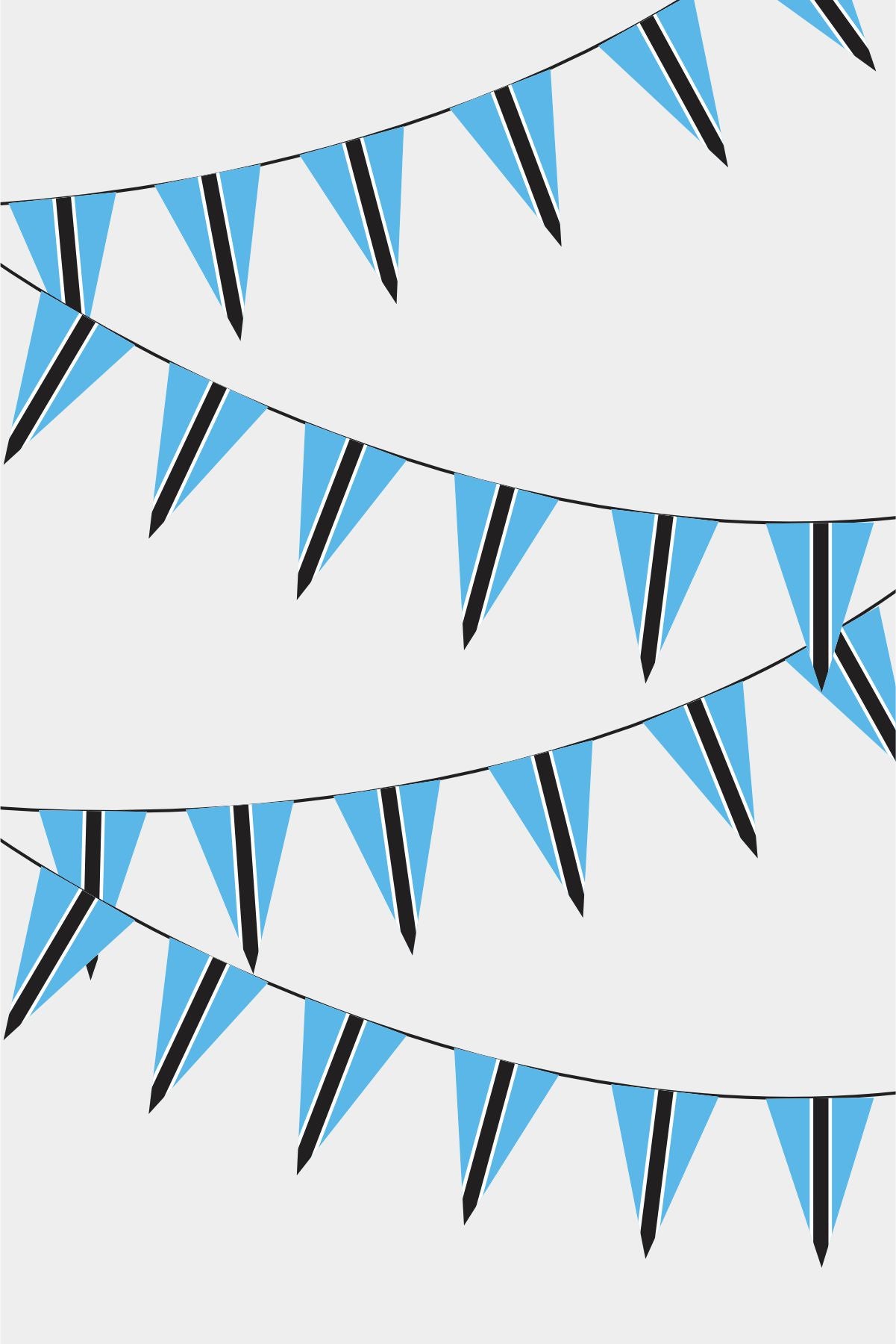 Botswana Triangular Flag Bunting - 50 Meters Premium Pennant Flags for Party Decoration | Professional Quality Raschel Fabric