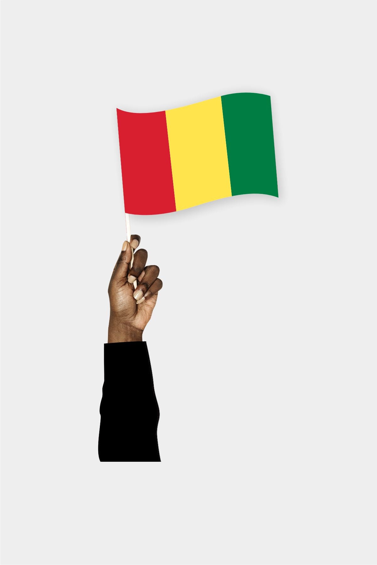 Guinea handheld flag on stick - durable polyester country flag for events and parades