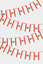 Lebanon Rectangular Flag Bunting - 50 Meters Premium String Flags for Party Decoration | Professional Quality Raschel Fabric