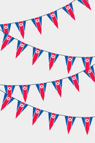 North Korea Triangular Flag Bunting - 50 Meters Premium Pennant Flags for Party Decoration | Professional Quality Raschel Fabric