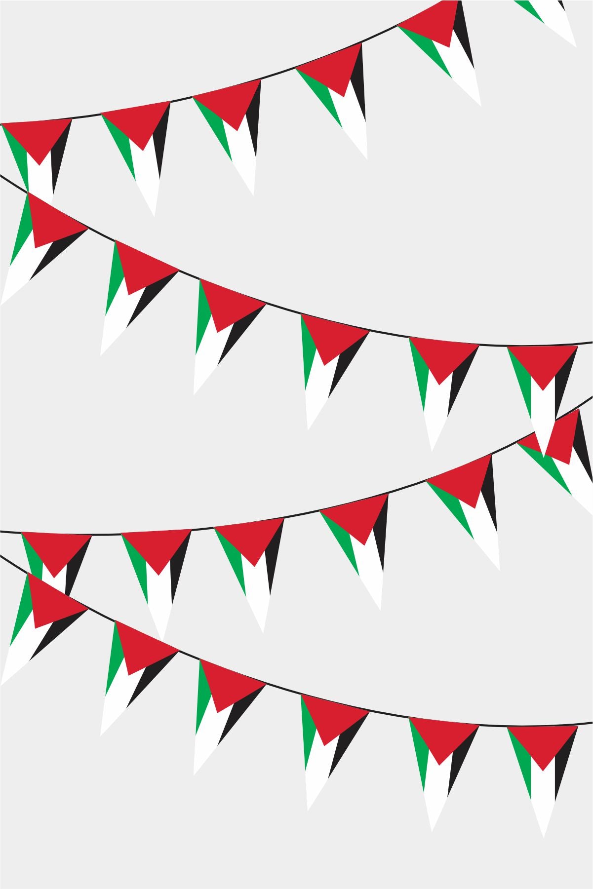 Palestine Triangular Flag Bunting - 50 Meters Premium Pennant Flags for Party Decoration | Professional Quality Raschel Fabric
