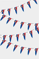 Serbia Triangular Flag Bunting - 50 Meters Premium Pennant Flags for Party Decoration | Professional Quality Raschel Fabric