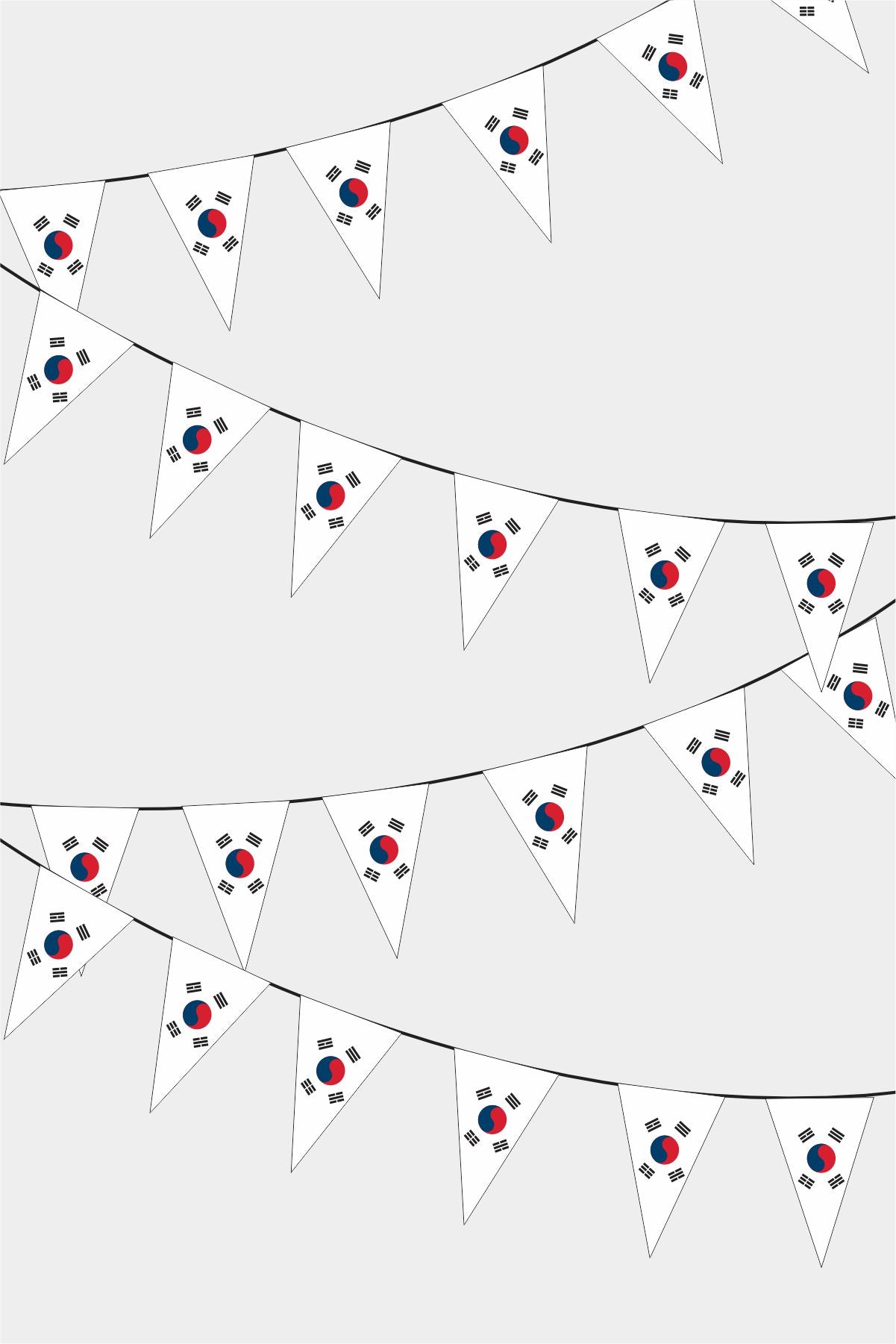 South Korea Triangular Flag Bunting - 50 Meters Premium Pennant Flags for Party Decoration | Professional Quality Raschel Fabric