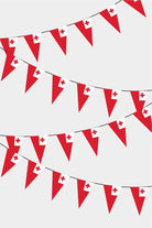 Tonga Triangular Flag Bunting - 50 Meters Premium Pennant Flags for Party Decoration | Professional Quality Raschel Fabric