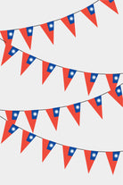 Taiwan Triangular Flag Bunting - 50 Meters Premium Pennant Flags for Party Decoration | Professional Quality Raschel Fabric