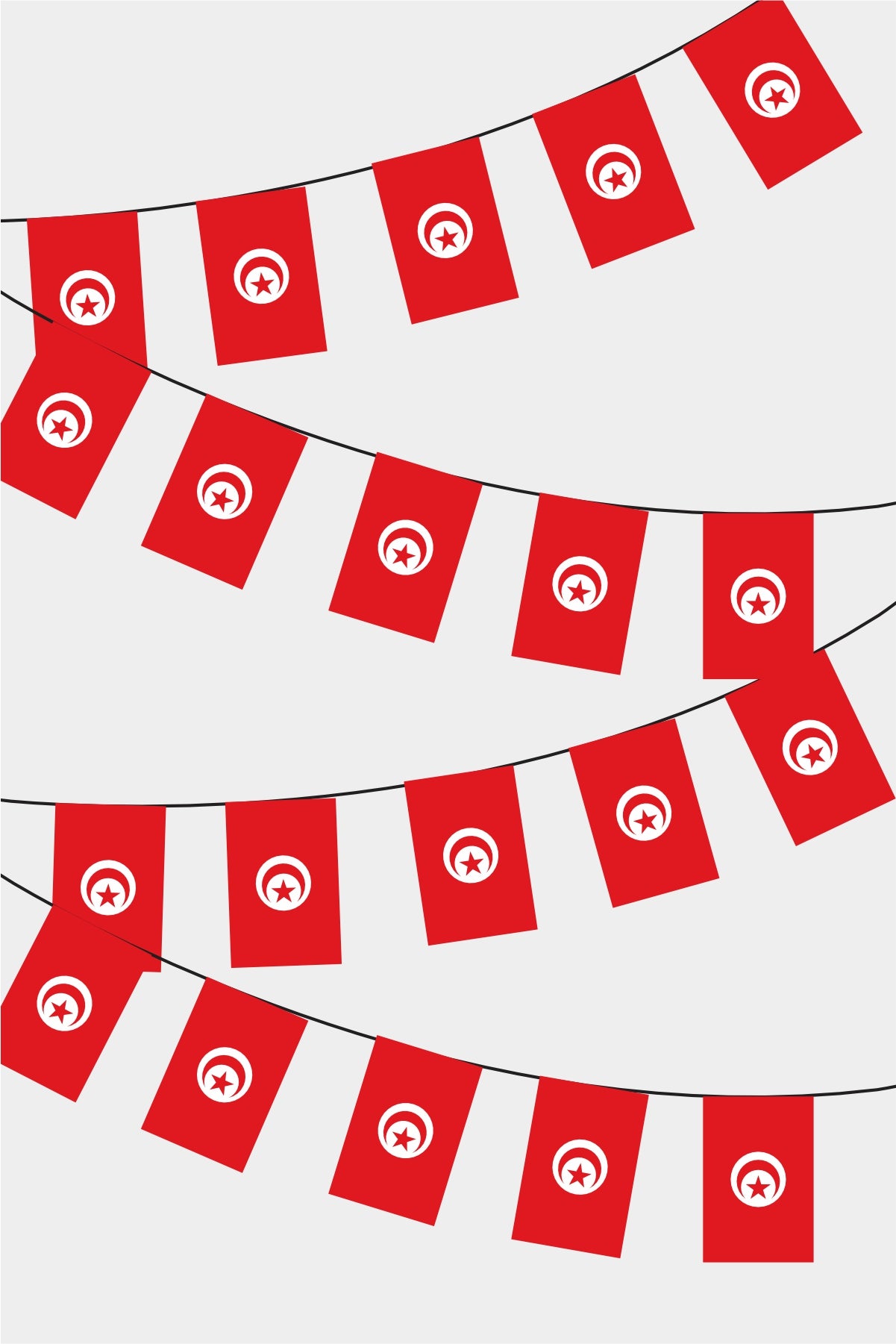 Tunisian Rectangular Flag Bunting - 50 Meters Premium String Flags for Party Decoration | Professional Quality Raschel Fabric