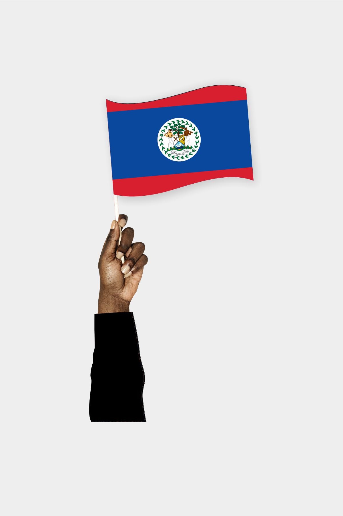 Belize handheld flag on stick - durable polyester country flag for events and parades