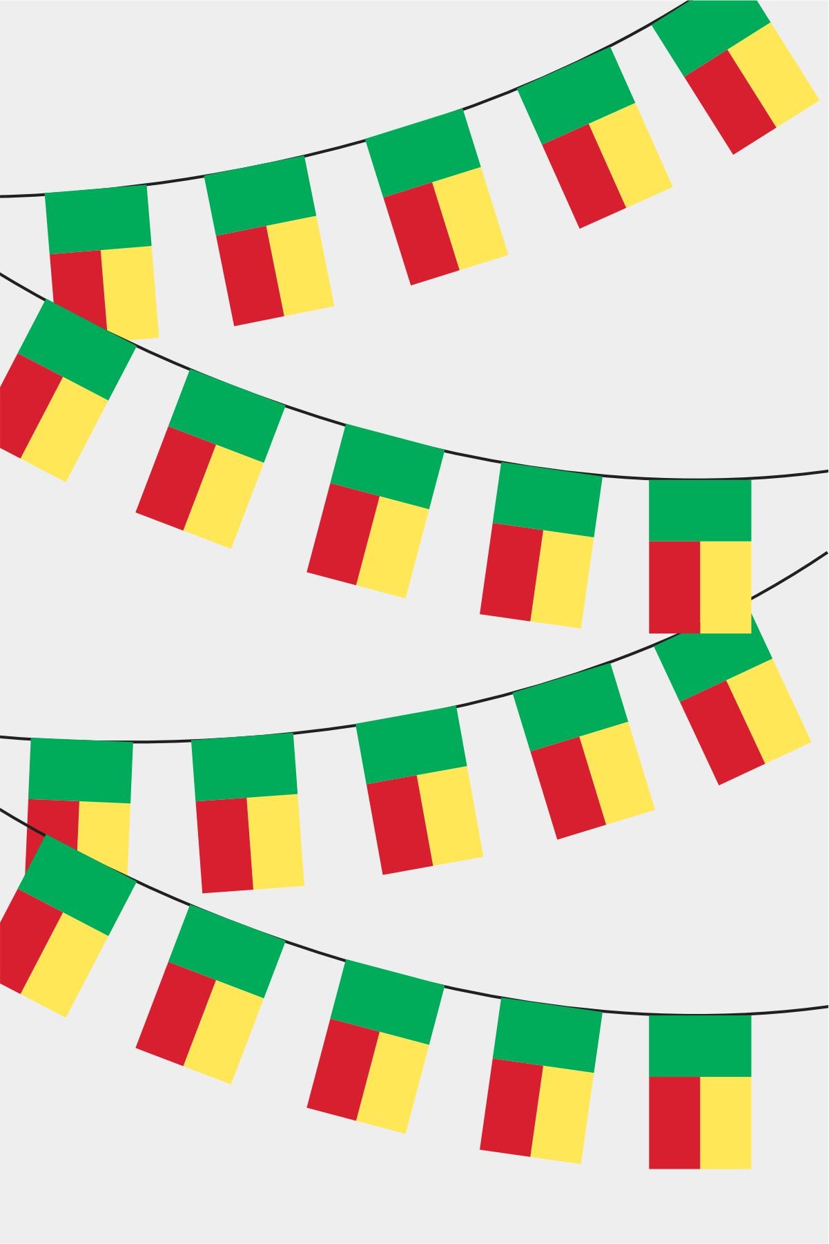 Benin Rectangular Flag Bunting - 50 Meters Premium String Flags for Party Decoration | Professional Quality Raschel Fabric