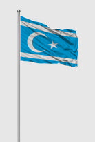 Türkmeneli Bayrağı