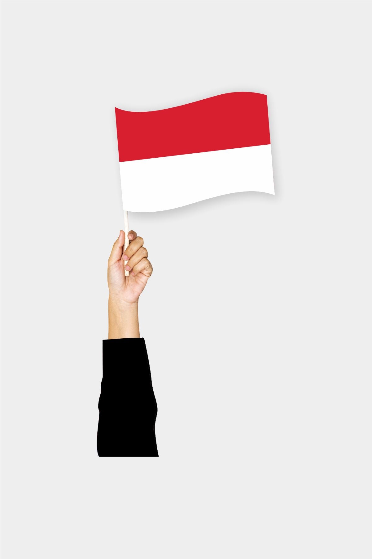 Monaco handheld flag on stick - durable polyester country flag for events and parades