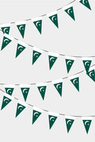 Pakistan Triangular Flag Bunting - 50 Meters Premium Pennant Flags for Party Decoration | Professional Quality Raschel Fabric