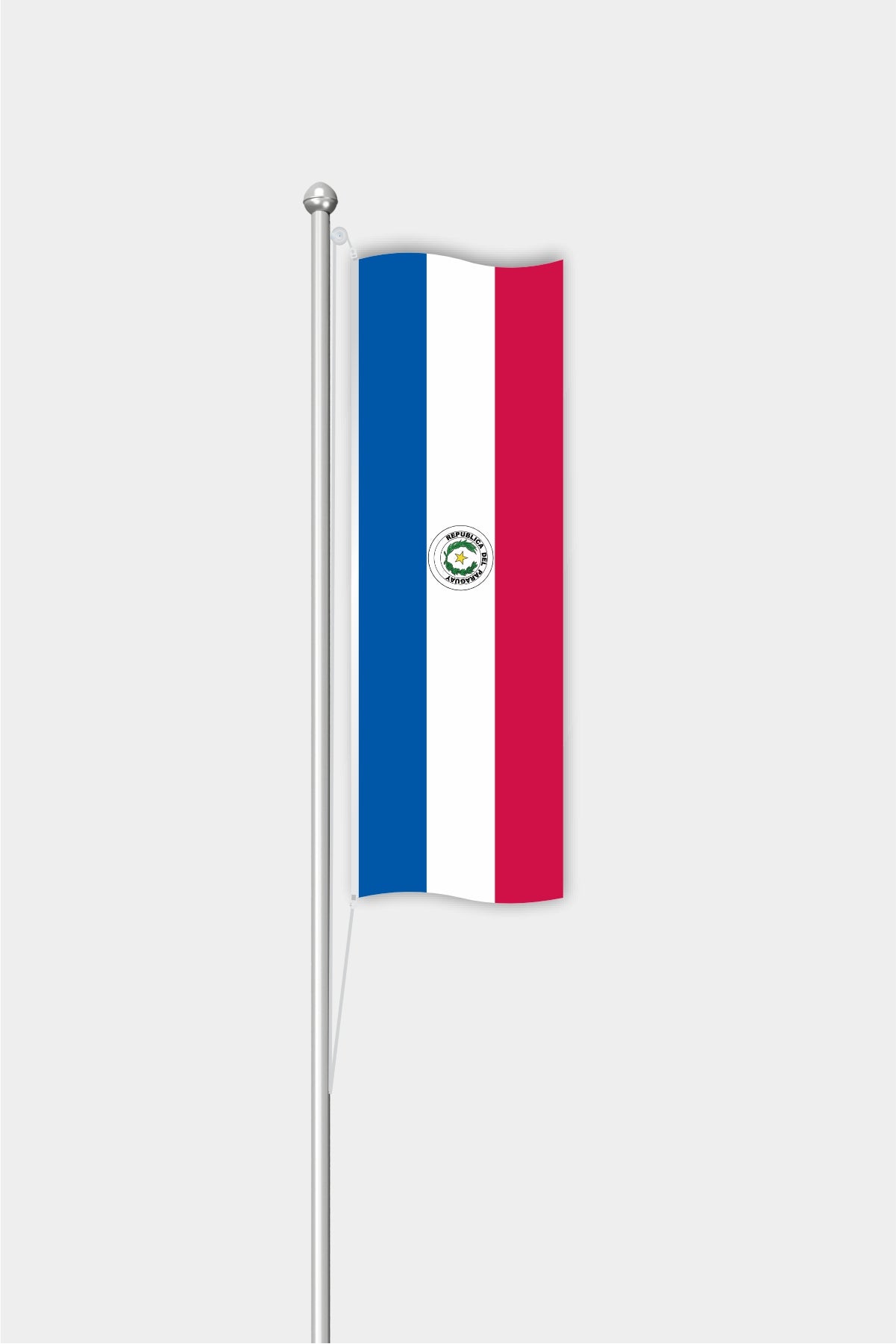 Outdoor Vertical Paraguay Flag — Polyester