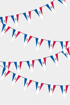 Paraguay Triangular Flag Bunting - 50 Meters Premium Pennant Flags for Party Decoration | Professional Quality Raschel Fabric